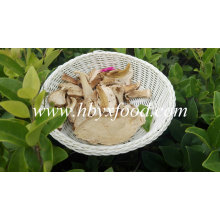 Grade AAA Dried Boletus Porcini Price Boletus